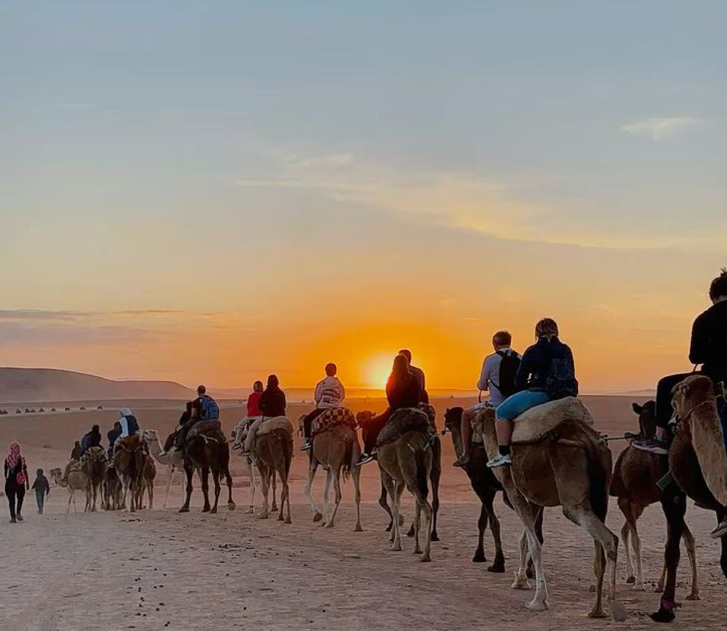 Camel caravan at sunset in the desert