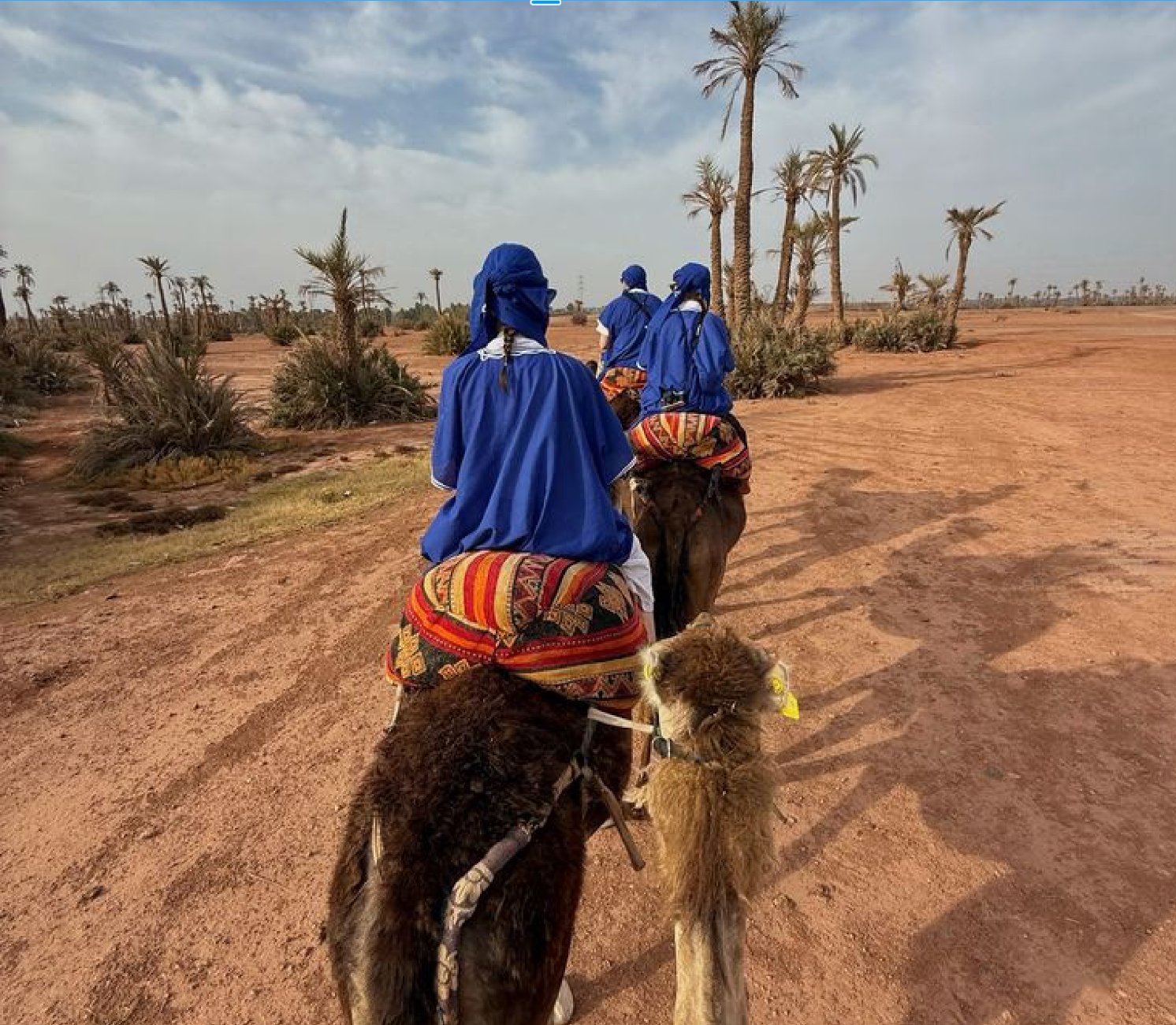 Camel ride through the Marrakech palm grove